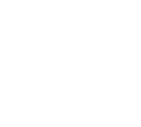 Bio