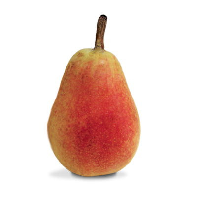 Pear Carmen Pear Carmen