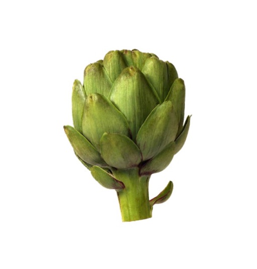 Carciofo