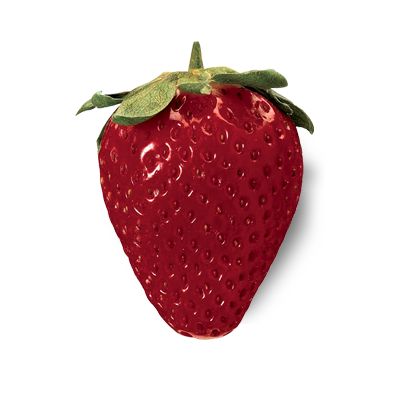 Fragola