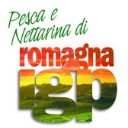 Logo di Pesca Nettarina dell'Emilia Romagna IGP